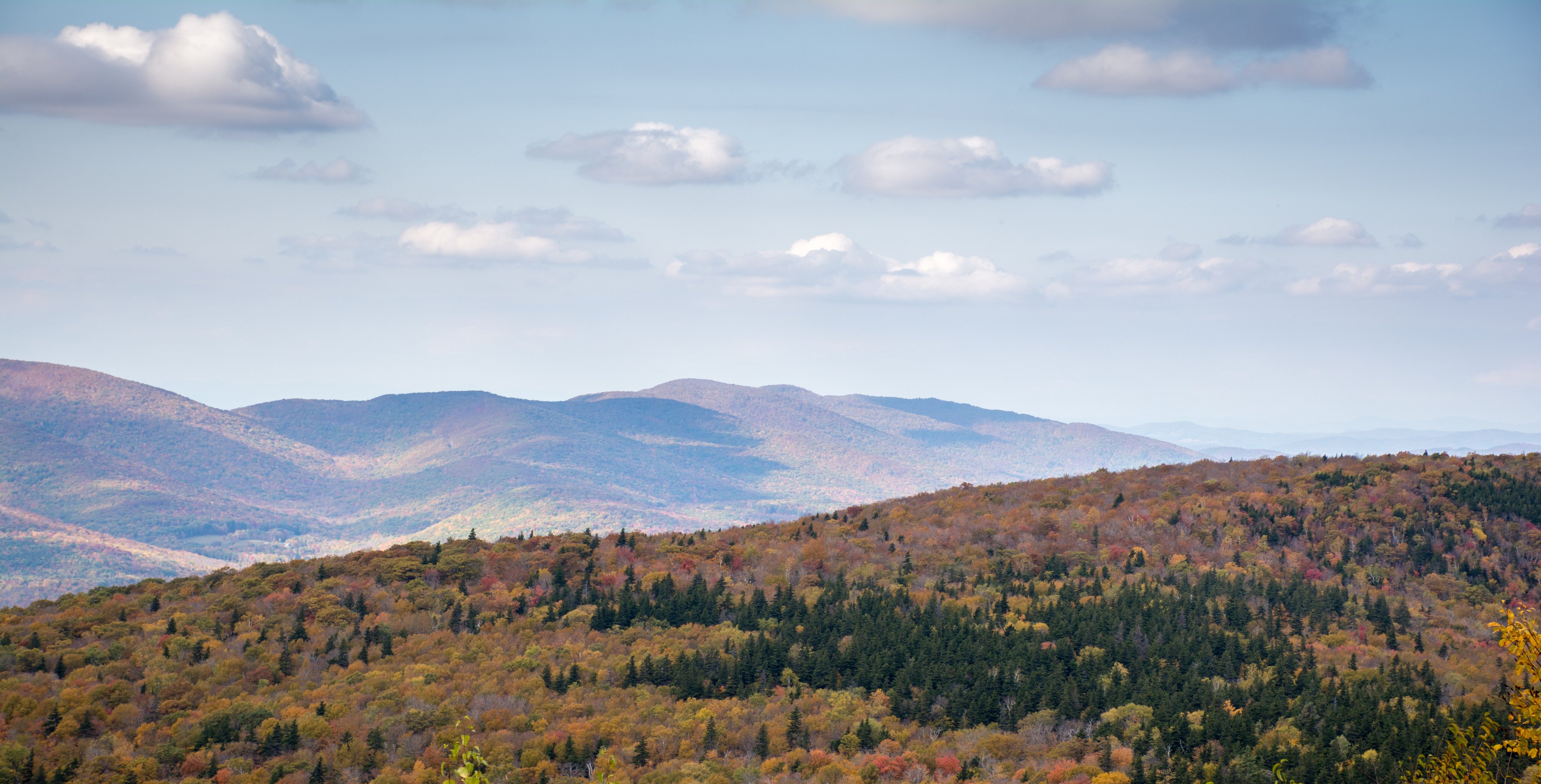 Fall foliage view from Mount Greylock in Berkshires